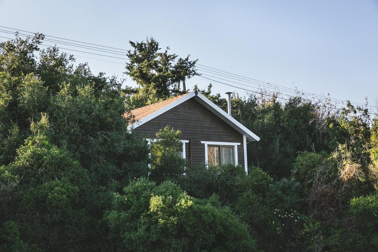 Live In The Woods Villa Mikhmannim Екстериор снимка